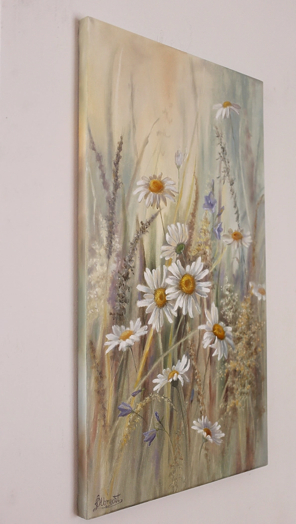 Lidia Olbrycht - Daisies Meadow