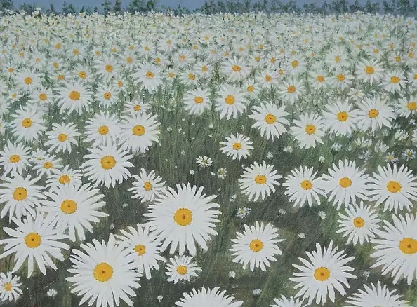 Antonina Radzięda - Margerytki