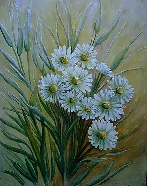 Małgorzata Grzechnik - daisy