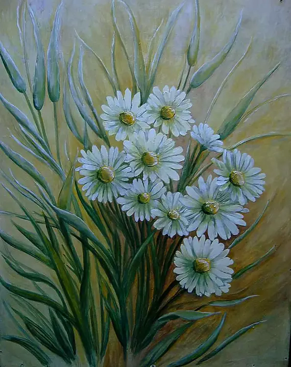 Małgorzata Grzechnik - daisy