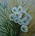 Małgorzata Grzechnik - daisy