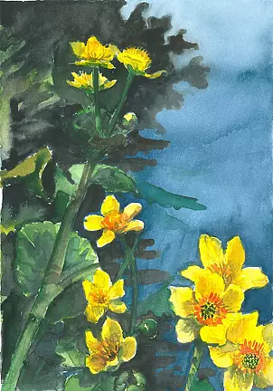 Zdzisław Rutkowski - marigolds II