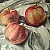 Monika Palichleb - Still Life, No. 4, Apples