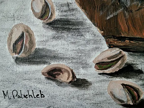 Monika Palichleb - Martwa natura, nr 6, Pistacje