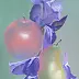 ilona jankowska wojtek - Still Life with Iris