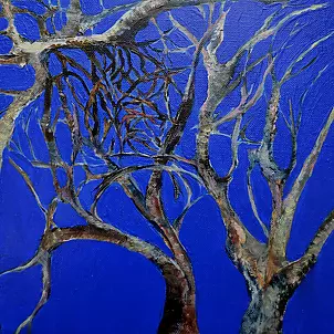 Anna Forycka Putiatycka - bier