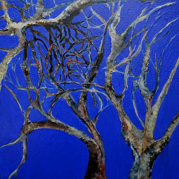 Anna Forycka Putiatycka - bier