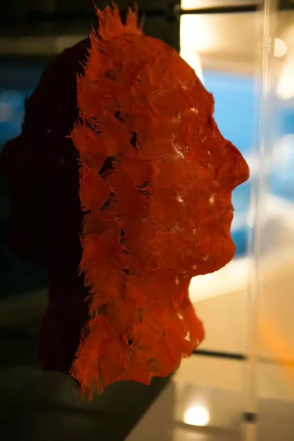 Małgorzata Jabłońska - Mask 7