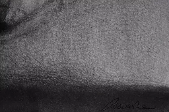 Kamila Ossowska - Hood