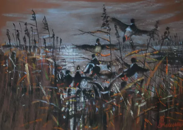 Andrzej Siewierski - Mazury dawn with wild ducks