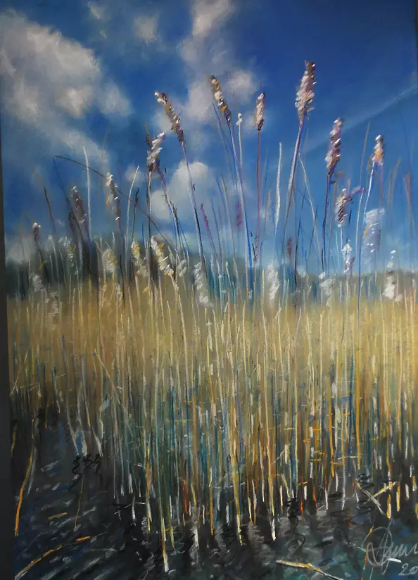 Andrzej Siewierski - Mazury-4-Szuwary