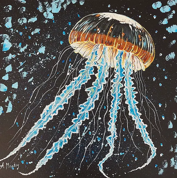 Agnieszka Mantaj - Meduza