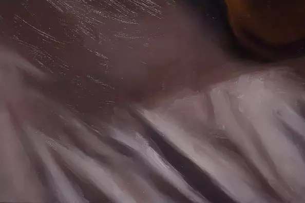 Kamila Ossowska - Jellyfish