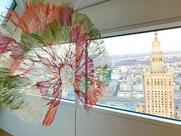 Małgorzata Jabłońska - Jellyfish