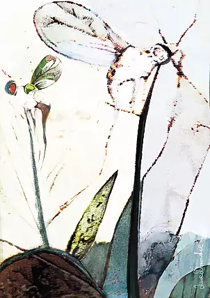 Anna Dmowska - "Meditation on the face of III-flight Rest"