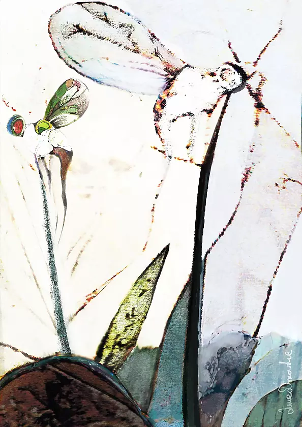 Anna Dmowska - "Medytacja nad obliczem lotu III-Spoczynek"