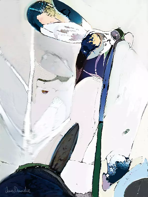 Anna Dmowska - "Medytacja nad obliczem lotu II"