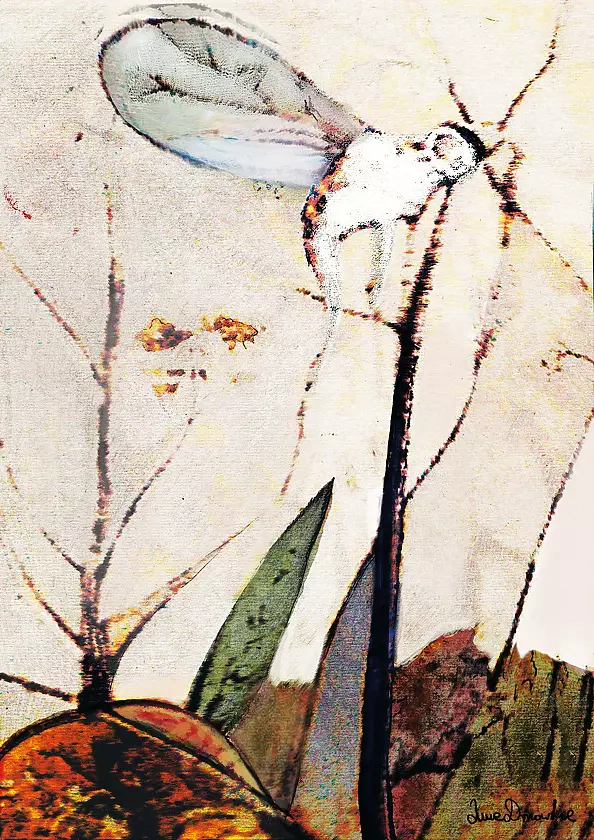 Anna Dmowska - "Medytacja nad obliczem lotu I"