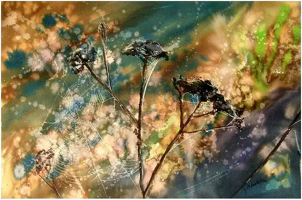 Joanna Magdalena - Metamorfoza