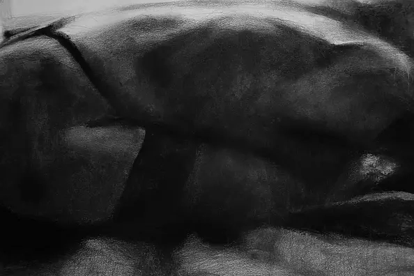 Kamila Ossowska - Metamorphosis