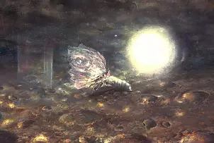 Anna Gorejowska - Metamorfoza