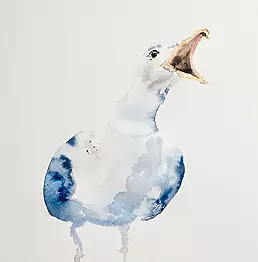 Artur Cieślar - Seagull