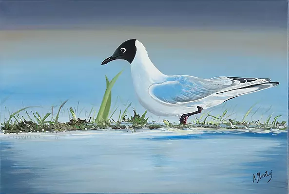 Agnieszka Mantaj - Seagull