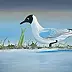 Agnieszka Mantaj - Seagull