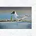 Agnieszka Mantaj - Seagull