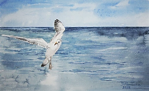 Danuta Kawecka - Seagull