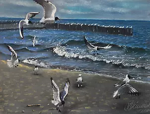 Andrzej Siewierski - gulls