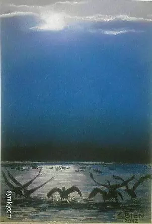Zbigniew Bień - gulls
