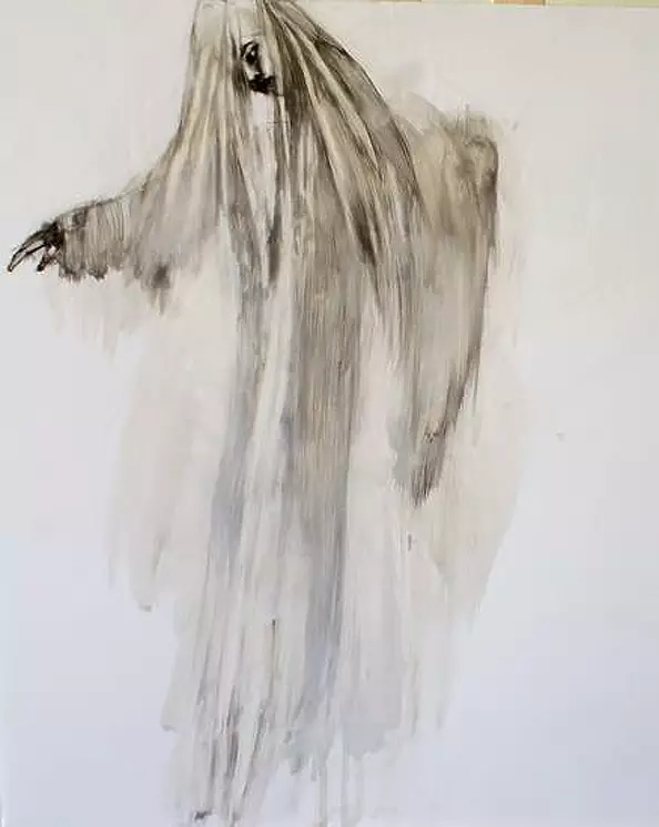 Agnieszka Osipa - Fog