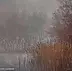 Krzysztof Łozowski - mists
