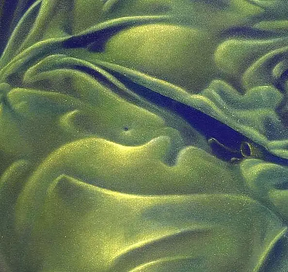 Krzysztof Polaczenko, Mida, Dipinto acrilico, Tecniche miste - tela, 54 x 85