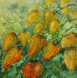 ANNA MECHLIŃSKA, Физалис, Акварелі - папір, 30 x 40