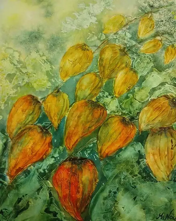 ANNA MECHLIŃSKA - physalis