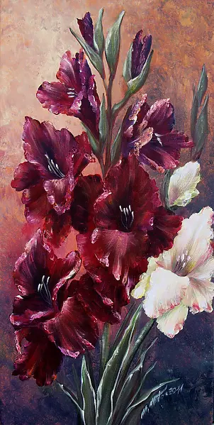   - gladioli Gretel