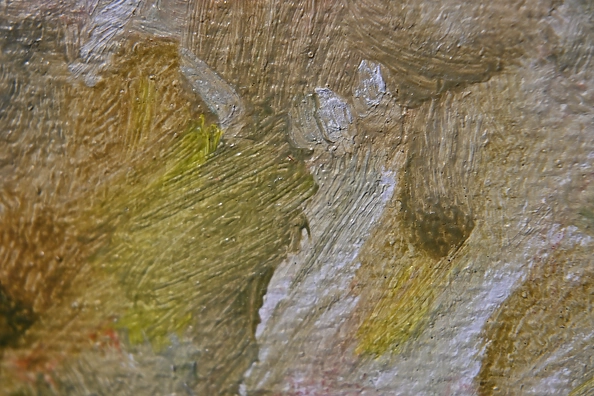 Agnieszka Długołęcka - Gladioli (C1)