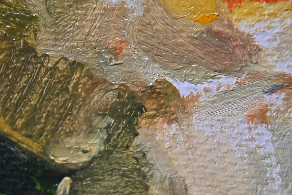 Agnieszka Długołęcka - Gladioli (C1)