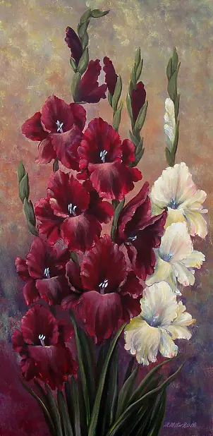   - gladioli velvet