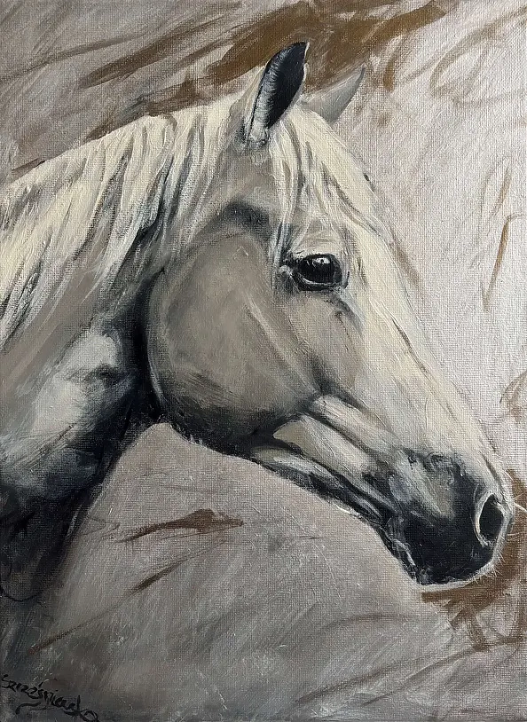 Joanna Szcześniewska - Between day and night