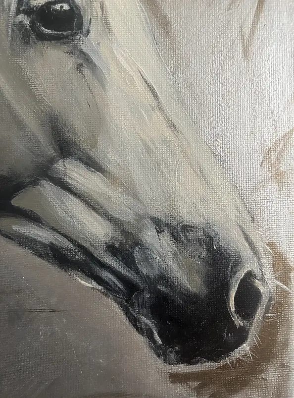 Joanna Szcześniewska - Between day and night