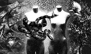 Adam Kurłowicz - Between night and day