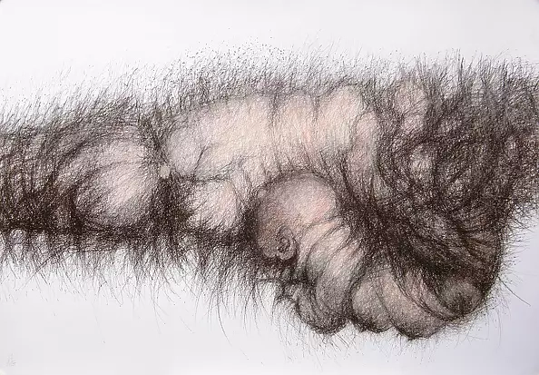 Elżbieta Zadora Zuzelska - Miodunka