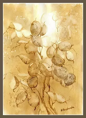   - Honesty painted coffee