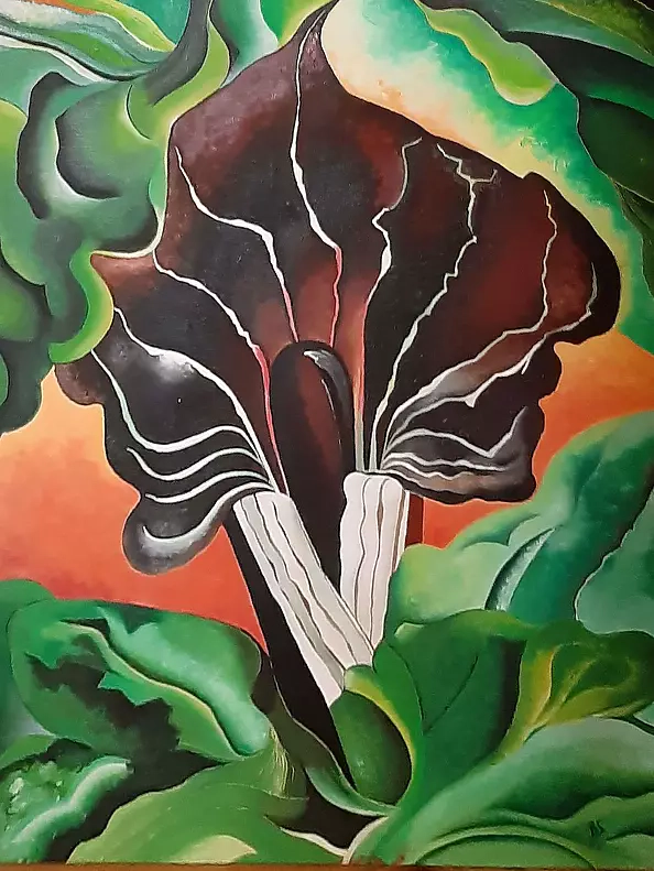 Barbara Sikorski - Microcosm