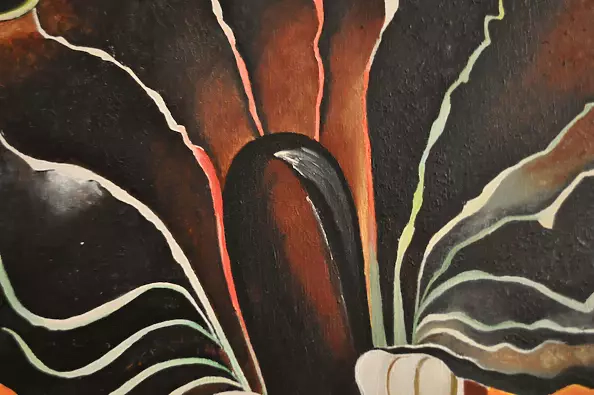 Barbara Sikorski - Microcosm