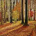 Jadwiga Rudnicka - The amorous colors of fall