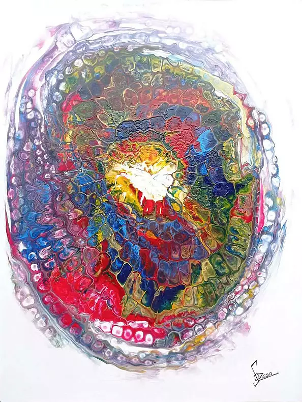 Sebastian Szczepański - Mind Map